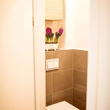 公寓 Fritscher Apartments, S.r.o.